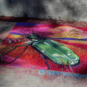 Screen-Shot-2020-09-14-at-8.16.42-PM