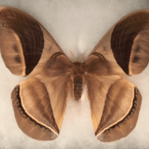 Screen-Shot-2020-09-14-at-8.59.24-PM Screen-Shot-2020-09-14-at-8.59.24-PM