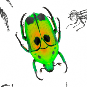 Screen-Shot-2020-09-14-at-9.22.16-PM Screen-Shot-2020-09-14-at-9.22.16-PM