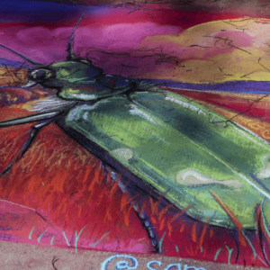 Screen-Shot-2020-09-14-at-9.40.27-PM Screen-Shot-2020-09-14-at-9.40.27-PM