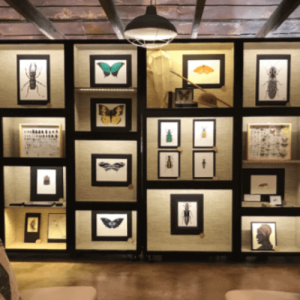 Screen-Shot-2020-10-03-at-10.56.32-PM Screen-Shot-2020-10-03-at-10.56.32-PM