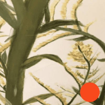 Screen-Shot-2020-11-30-at-4.14.39-PM