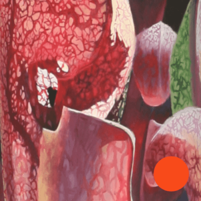 Screen-Shot-2021-03-03-at-11.14.57-AM Screen-Shot-2021-03-03-at-11.14.57-AM