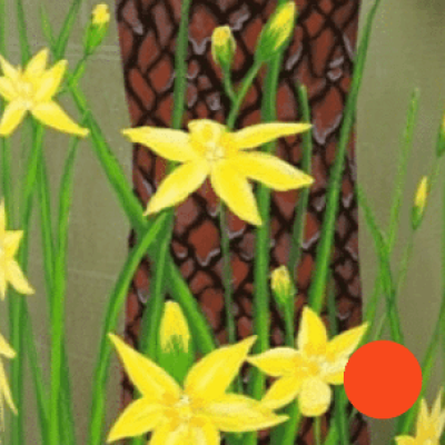 Screen-Shot-2021-03-11-at-10.59.34-AM Screen-Shot-2021-03-11-at-10.59.34-AM