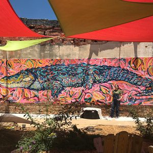 Dinosaur of the South _ Toni