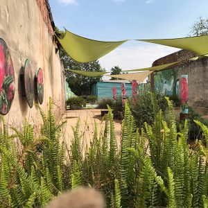 Land of the Roses _ Image6