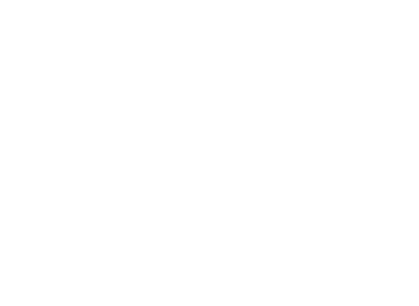 white Due South Logo