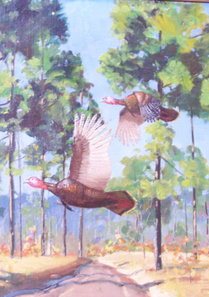 Portrait of two turkey's flying over a dirt road in south Georgia