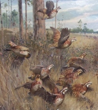 Painting of birds in a flock taking flight