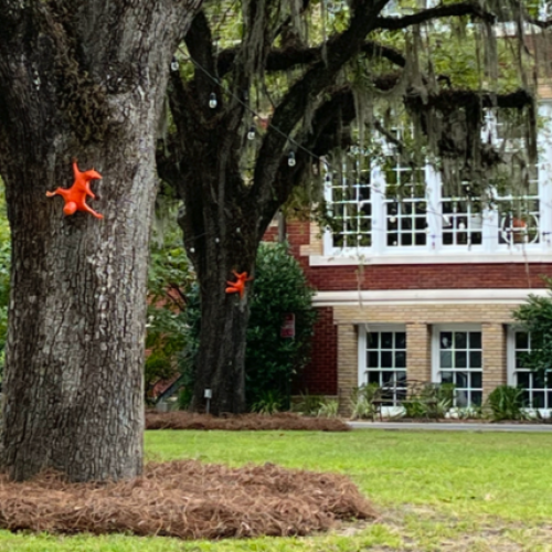 Wild Life at the Center Wild Life at the Center