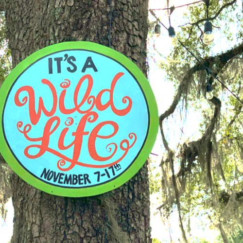 It's a Wild Life It's a Wild Life