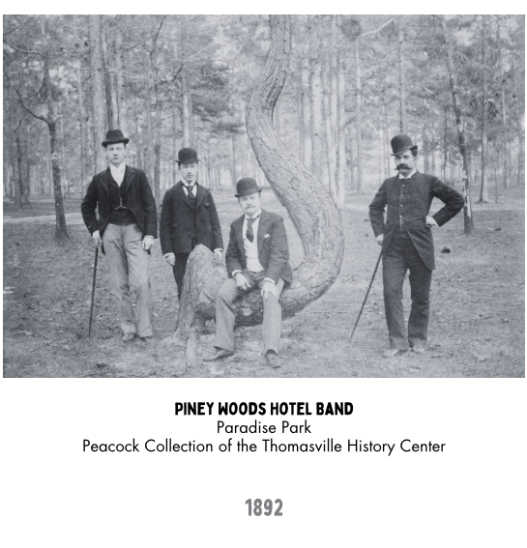 This is a photo of a flyer for the pine woods hotel band. Depicted are the 4 band members sitting on a curvy tree